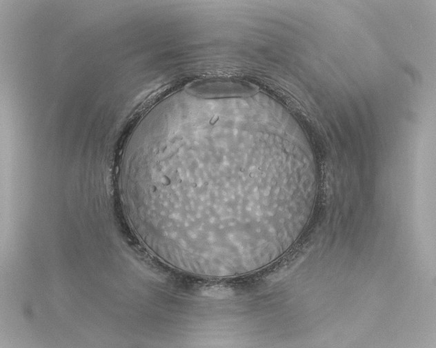 X0000116030258200912041941