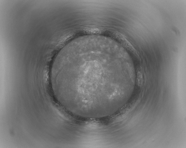 X0000116030259200912041941