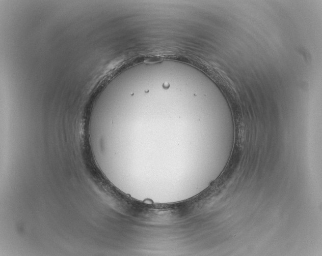 X0000116030260200912041941