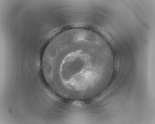 X0000116030261200912041941