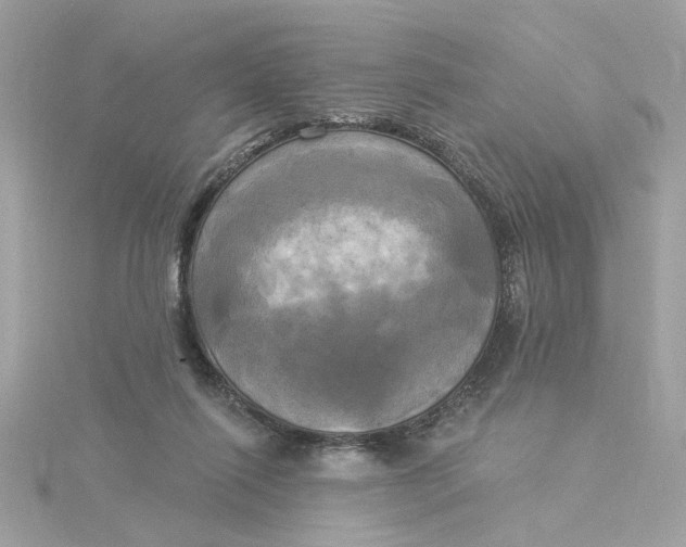 X0000116030262200912041941