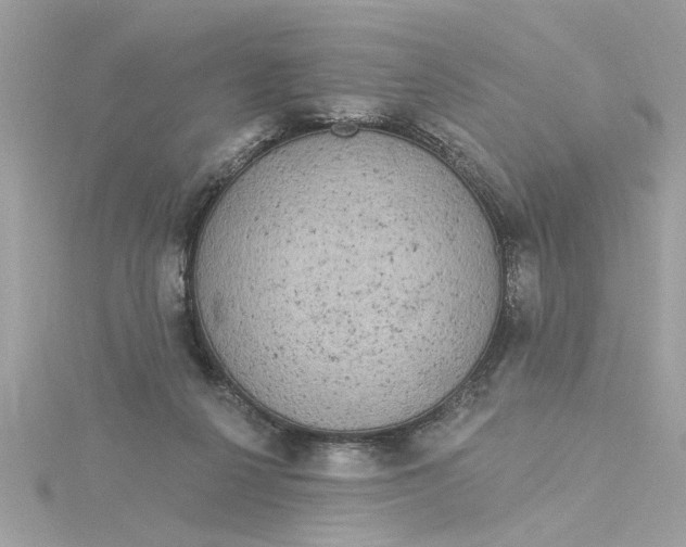 X0000116030264200912041941