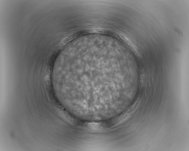 X0000116030265200912041941