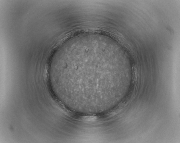 X0000116030266200912041941