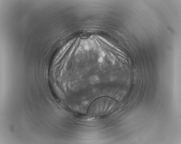 X0000116030267200912041941