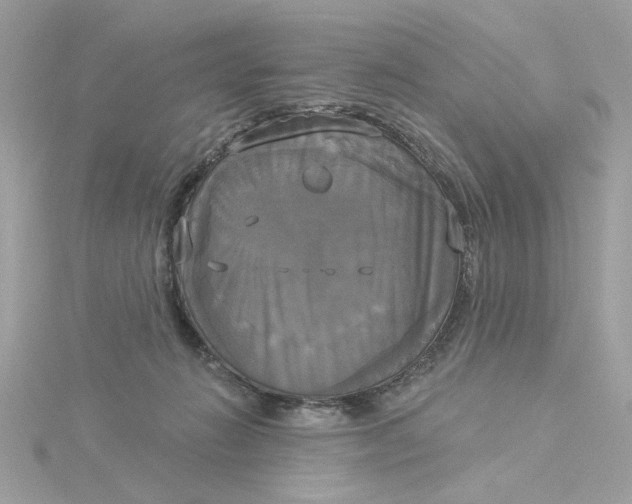 X0000116030270200912041941