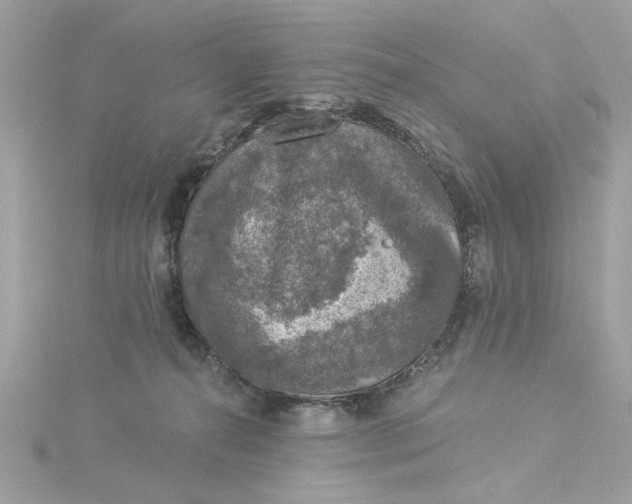 X0000116030272200912041941