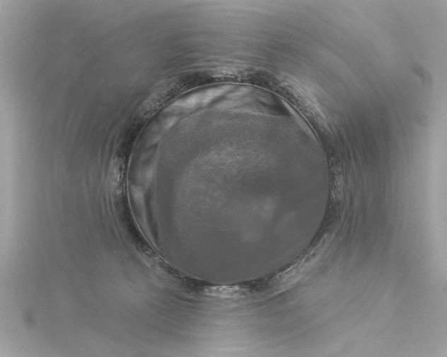 X0000116030273200912041941