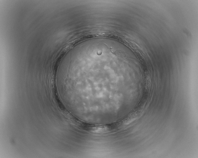 X0000116030274200912041941