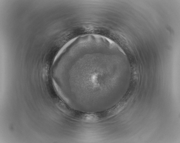 X0000116030275200912041941