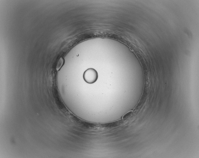 X0000116030276200912041941