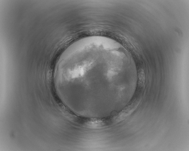 X0000116030278200912041941