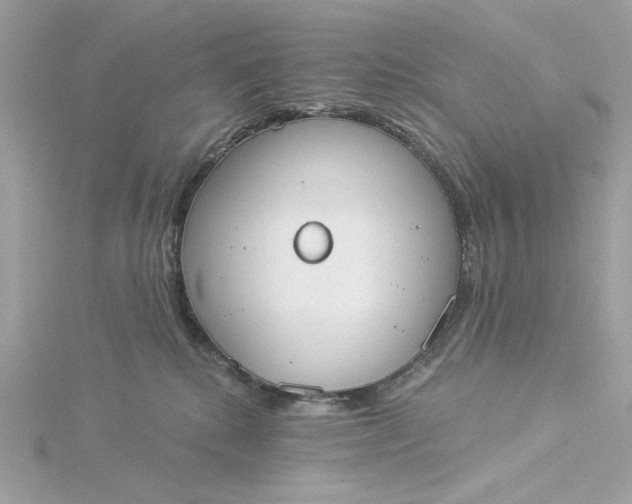 X0000116030280200912041941