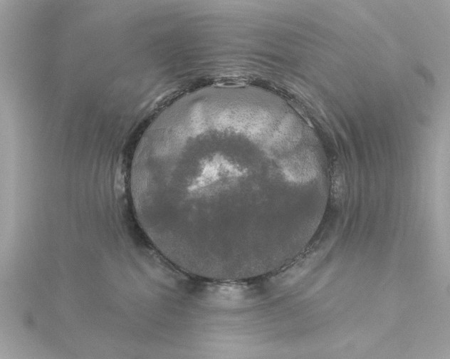 X0000116030282200912041941