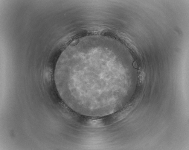 X0000116030283200912041941