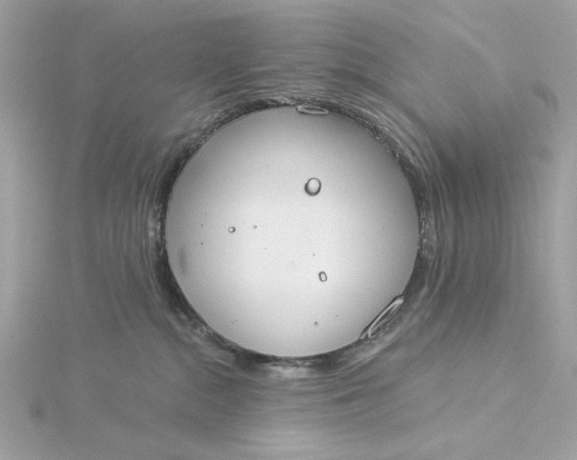 X0000116030284200912041941