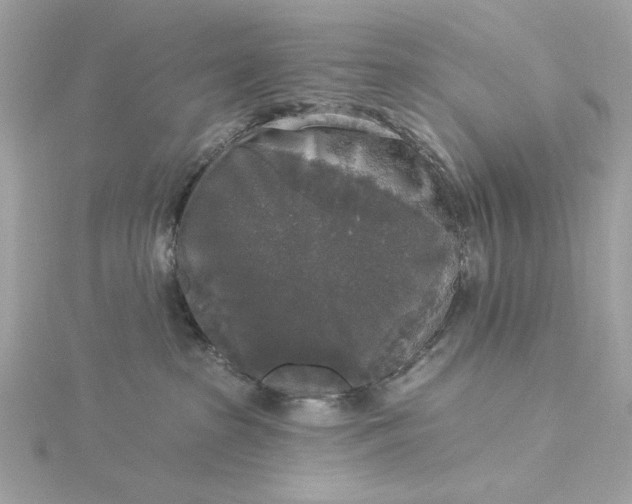 X0000116030285200912041941