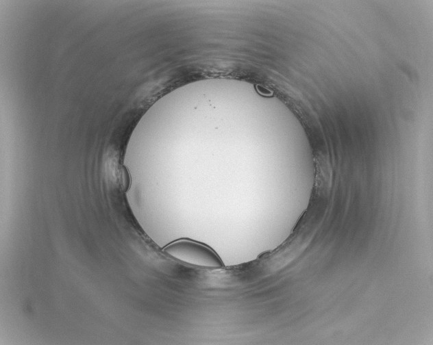 X0000116030287200912041941