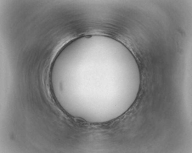 X0000116030289200912041940