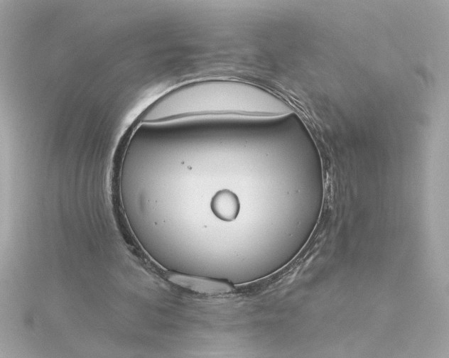 X0000116030292200912041940