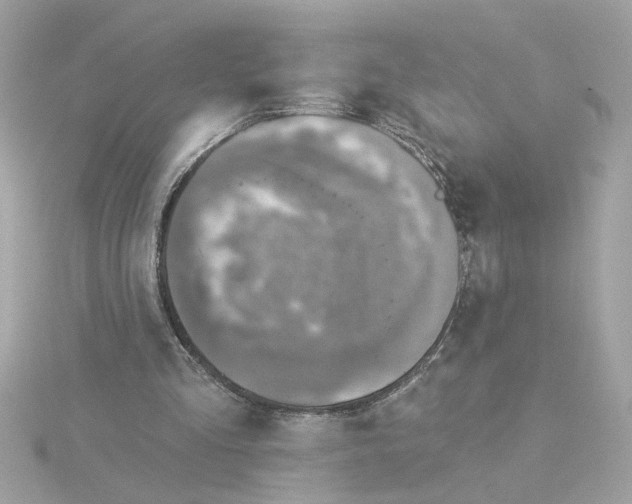 X0000116030293200912041940