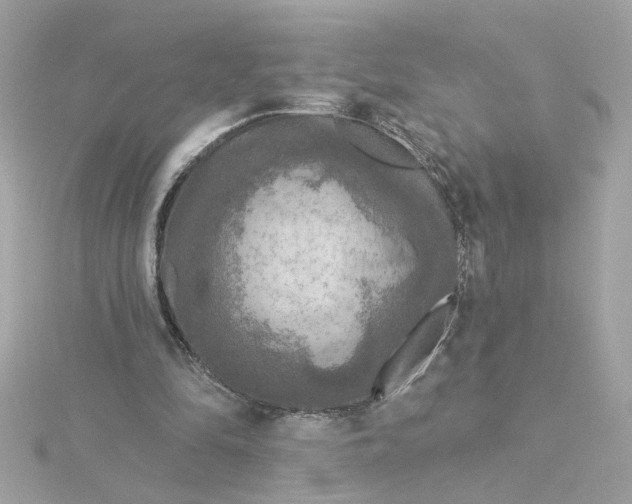 X0000116030294200912041940