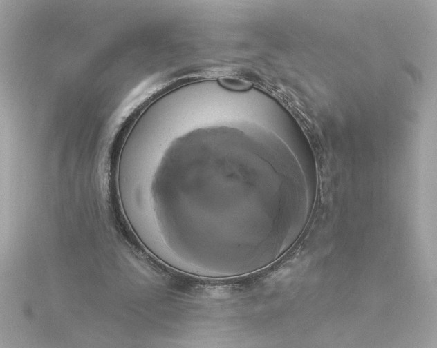 X0000116030295200912041940