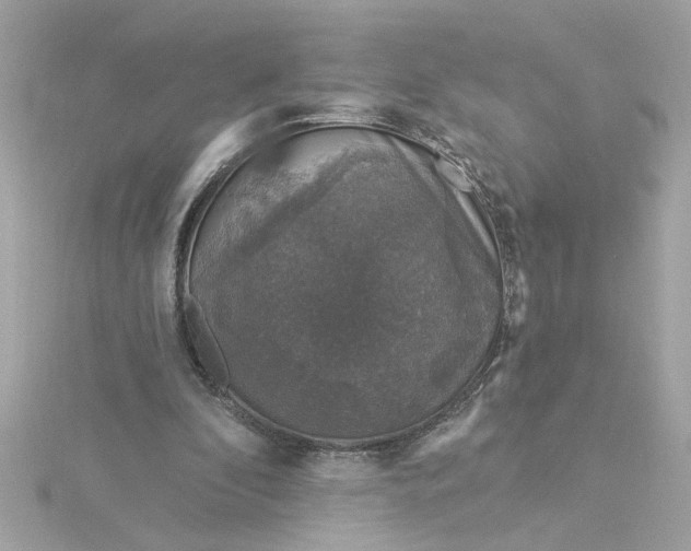 X0000116030296200912041940