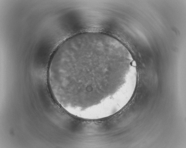 X0000116030297200912041940