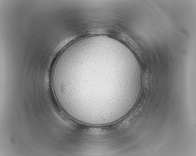 X0000116030298200912041940