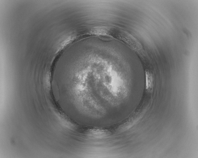 X0000116030300200912041940