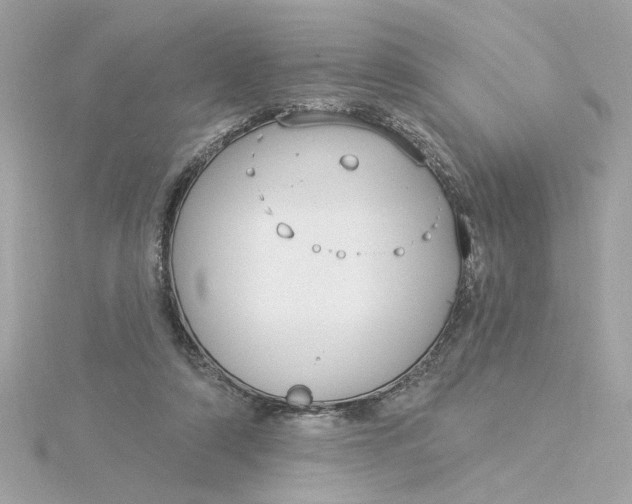 X0000116030306200912041940