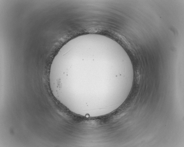 X0000116030307200912041940