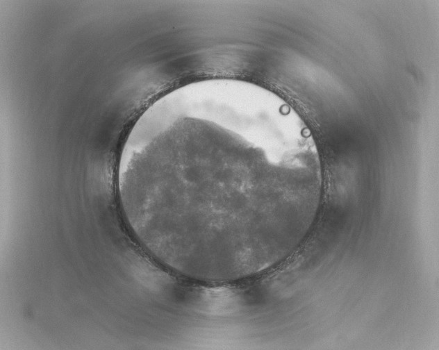 X0000116030309200912041940