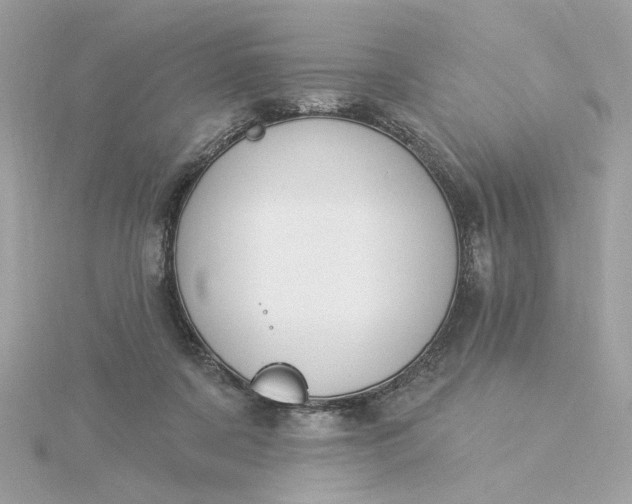 X0000116030311200912041940