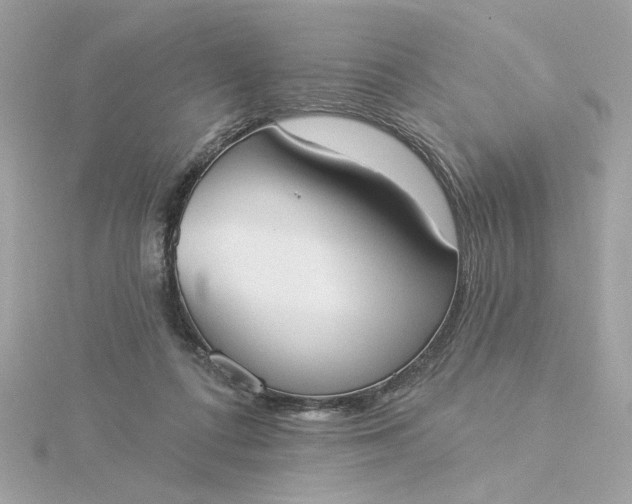 X0000116030312200912041940