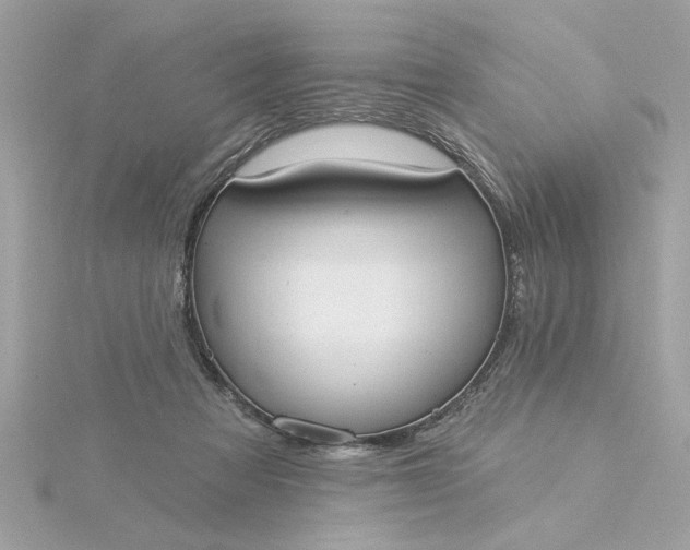 X0000116030313200912041940