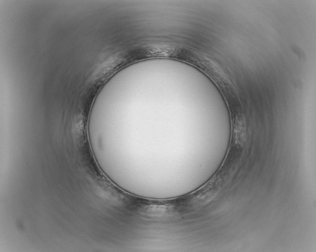 X0000116030314200912041940