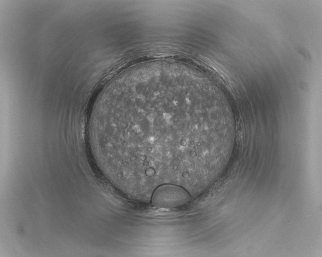 X0000116030315200912041940