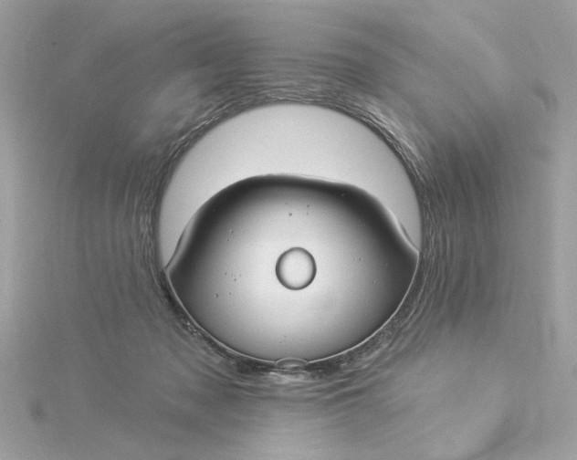 X0000116030317200912041940