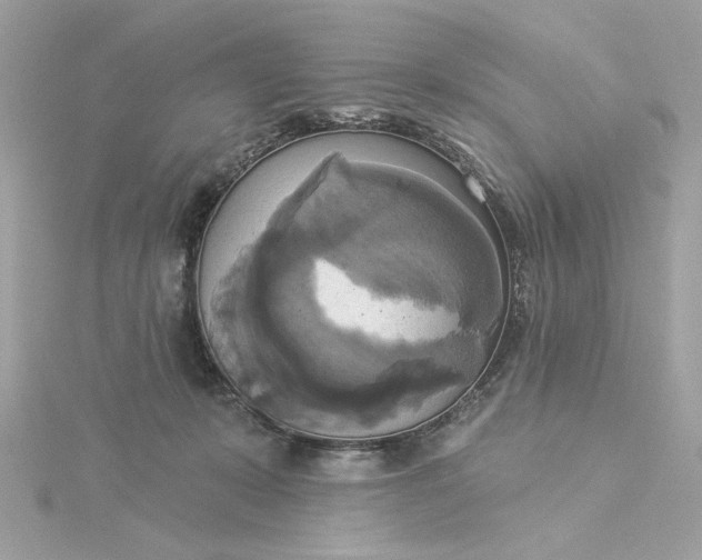 X0000116030319200912041940