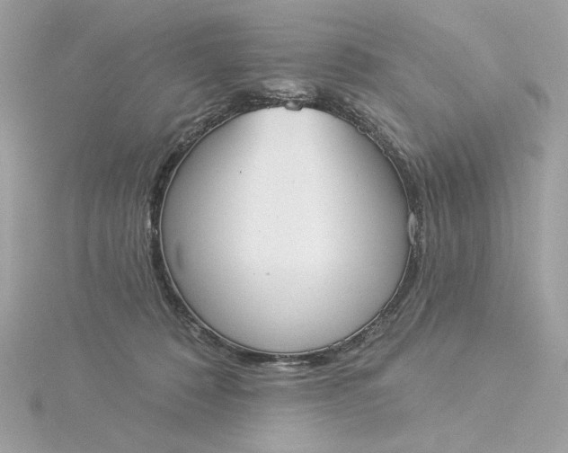 X0000116030320200912041940