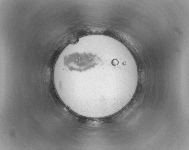 X0000116030321200912041940