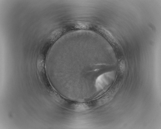 X0000116030322200912041940