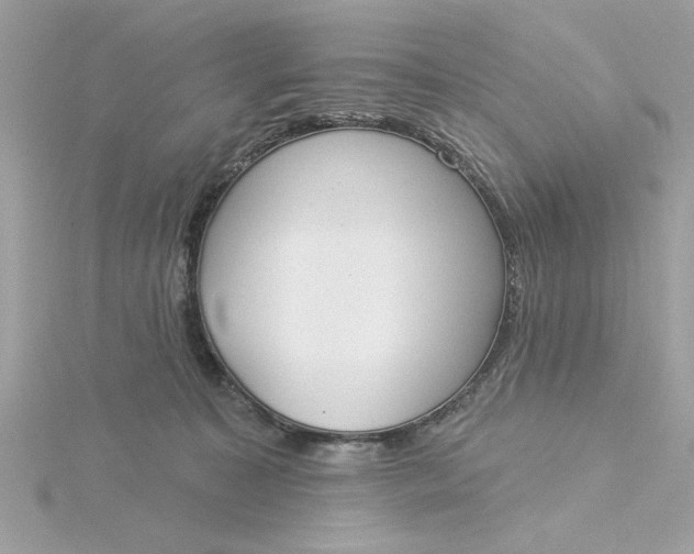 X0000116030323200912041940