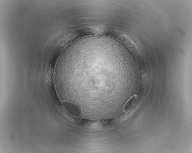 X0000116030325200912041940