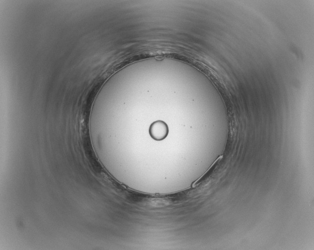 X0000116030327200912041940