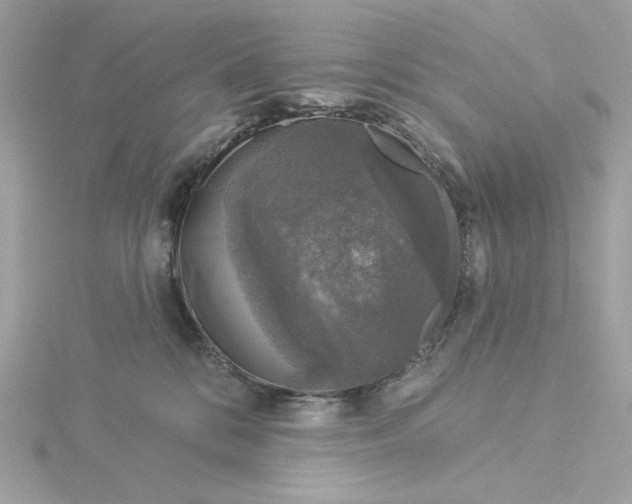 X0000116030328200912041940