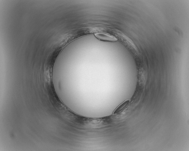 X0000116030329200912041940