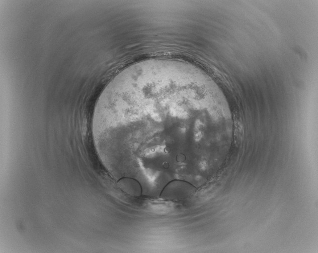 X0000116030331200912041940